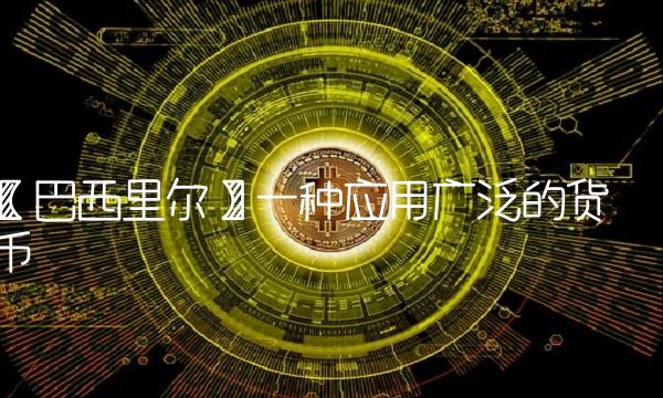 【巴西里尔】一种应用广泛的货币