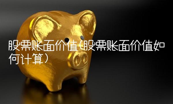 股票账面价值(股票账面价值如何计算)