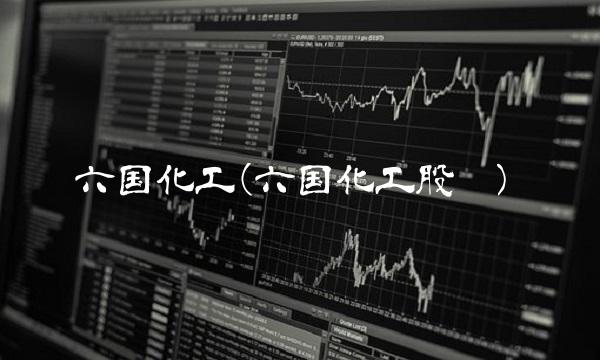 六国化工(六国化工股吧)