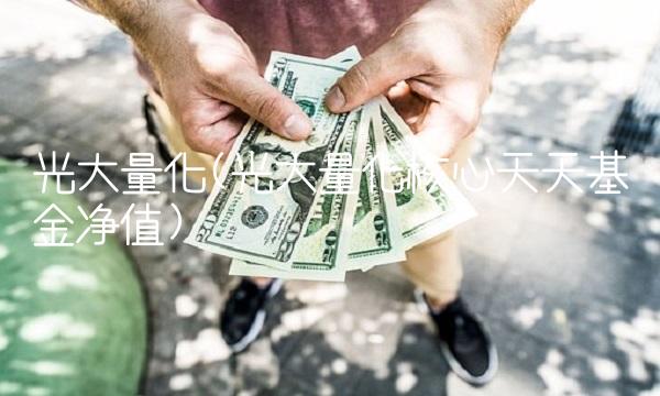 光大量化(光大量化核心天天基金净值)
