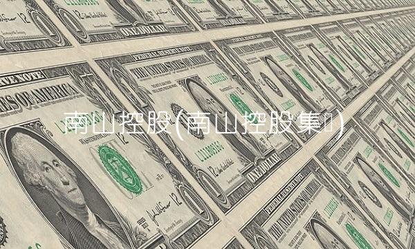 南山控股(南山控股集团)
