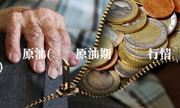 纽约原油(纽约原油期货实时行情)(1)