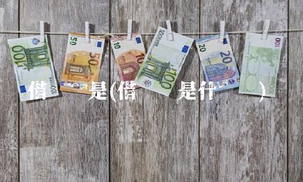 借记卡是(借记卡是什么卡)