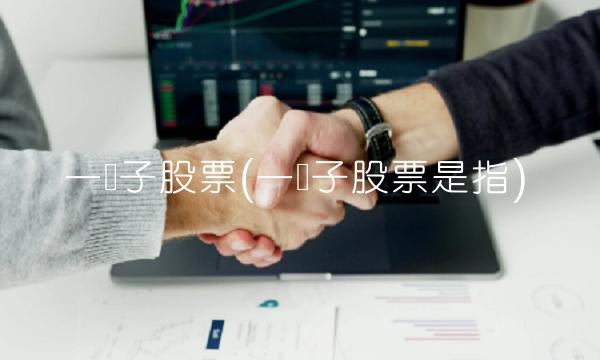 一篮子股票(一篮子股票是指)