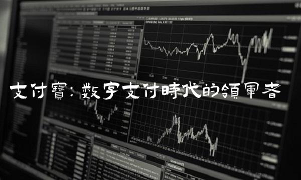 支付宝：数字支付时代的领军者