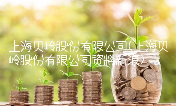 上海贝岭股份有限公司(上海贝岭股份有限公司资料新浪)