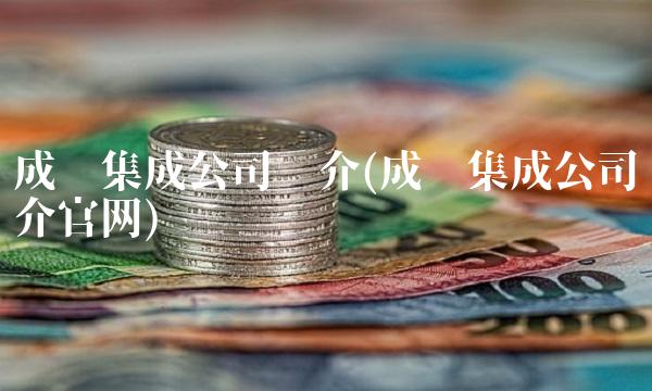 成飞集成公司简介(成飞集成公司简介官网)