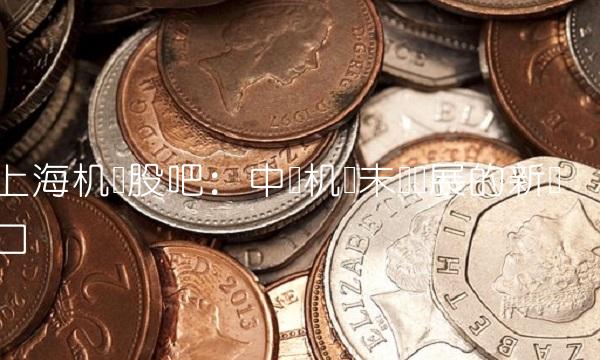 上海机场股吧：中国机场未来发展的新风口