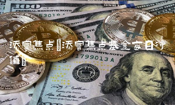 添富焦点(添富焦点基金每日净值)