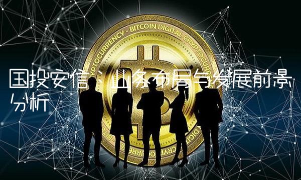 国投安信：业务布局与发展前景分析