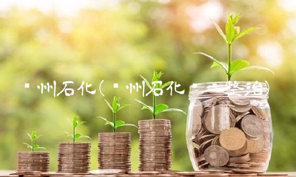 锦州石化(锦州石化专项整治)