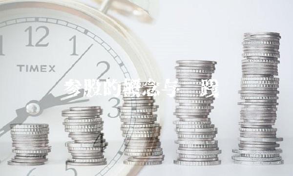 参股的概念与实践