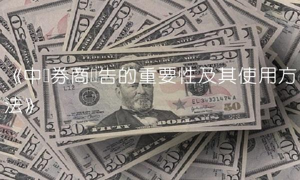 《中国券商报告的重要性及其使用方法》