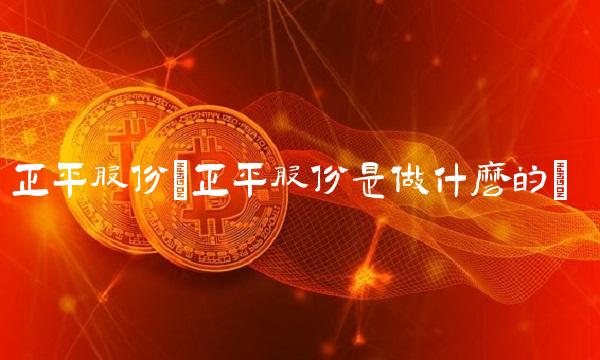 正平股份(正平股份是做什么的)
