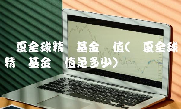 华夏全球精选基金净值(华夏全球精选基金净值是多少) 华夏全球精选基金净值(华夏全球精选基金净值是多少)