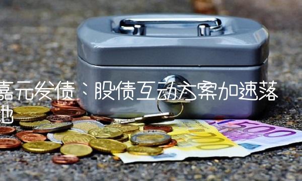 嘉元发债：股债互动方案加速落地