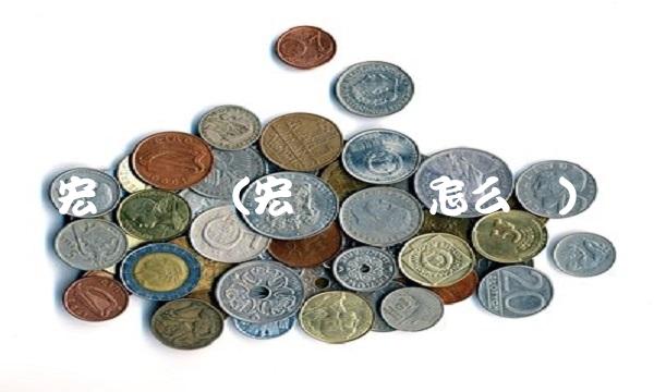 宏发发债(宏发发债怎么样)