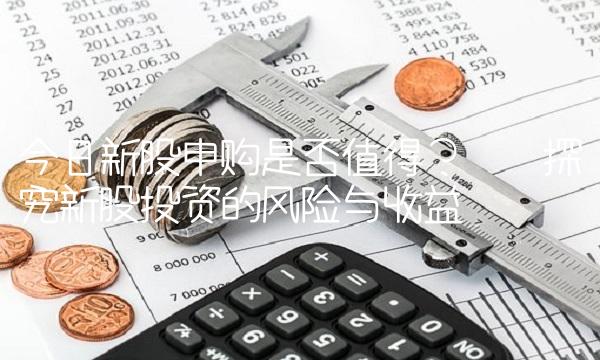 今日新股申购是否值得？——探究新股投资的风险与收益
