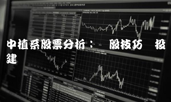 中植系股票分析：选股技巧与投资建议