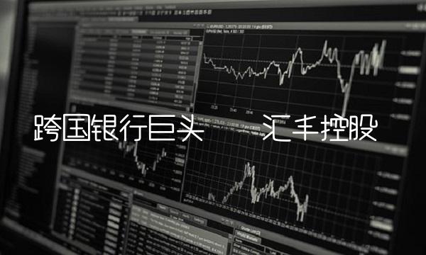 跨国银行巨头——汇丰控股