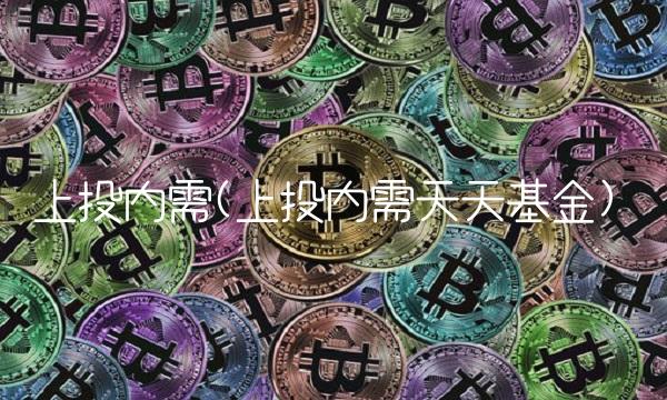 上投内需(上投内需天天基金)
