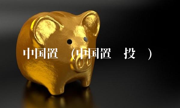中国置业(中国置业投资)