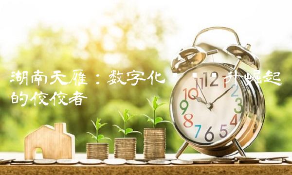 湖南天雁：数字化产业跃升崛起的佼佼者