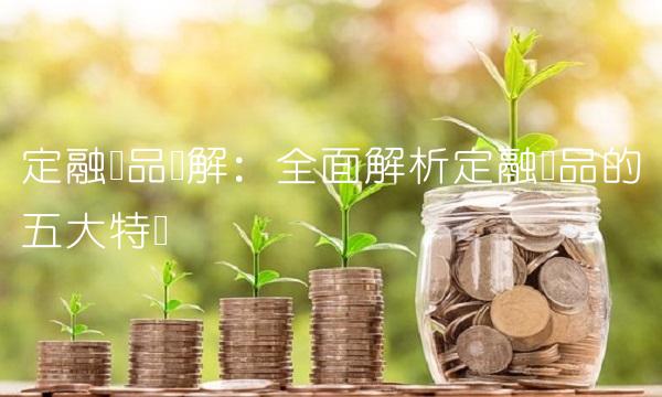 定融产品详解：全面解析定融产品的五大特点