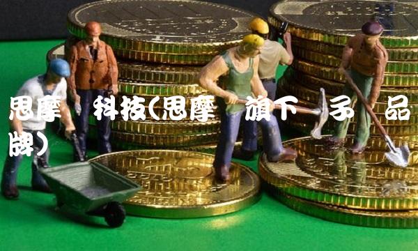 思摩尔科技(思摩尔旗下电子烟品牌)(1)