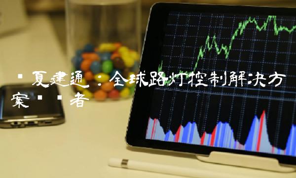 华夏建通：全球路灯控制解决方案领导者