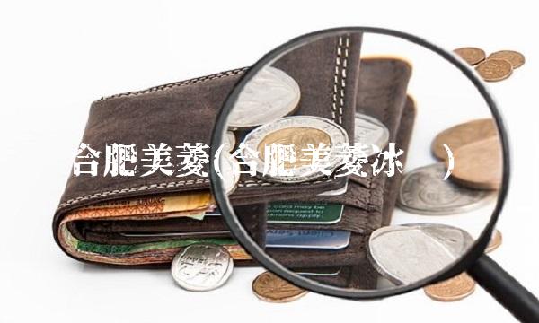 合肥美菱(合肥美菱冰柜)