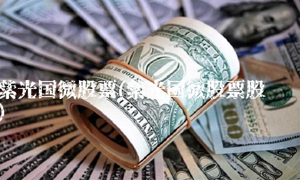 紫光国微股票(紫光国微股票股吧)