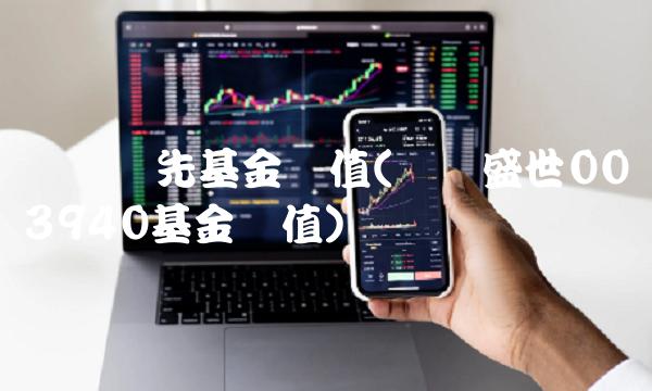 银华领先基金净值(银华盛世003940基金净值)