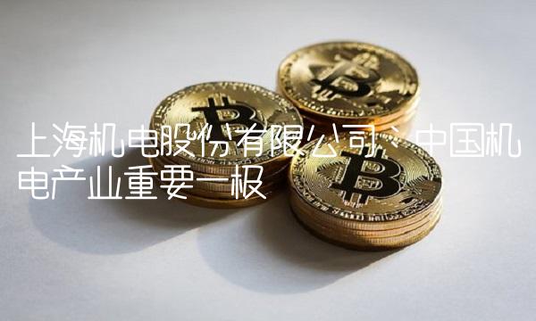 上海机电股份有限公司：中国机电产业重要一极