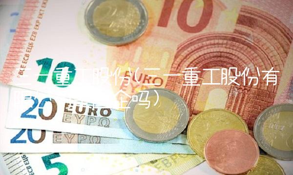 三一重工股份(三一重工股份有限公司是国企吗)