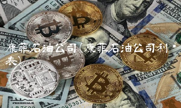 康菲石油公司(康菲石油公司利润表)