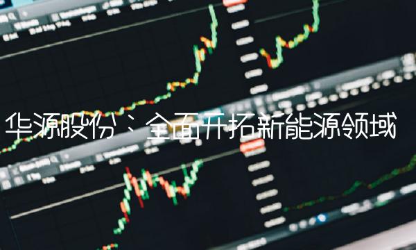华源股份：全面开拓新能源领域