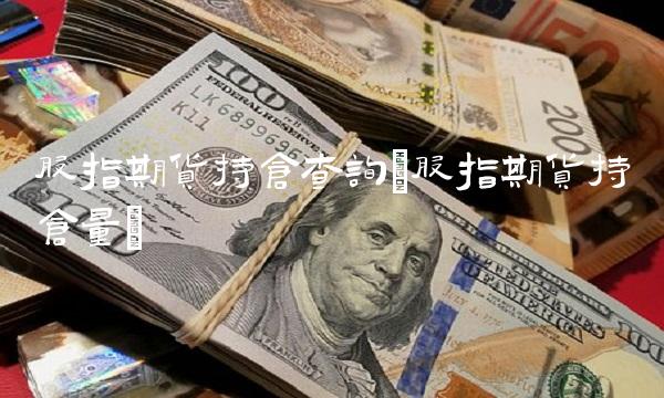 股指期货持仓查询(股指期货持仓量)
