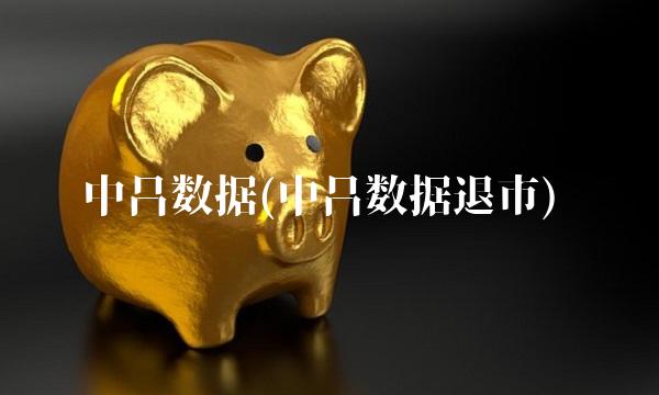 中昌数据(中昌数据退市)