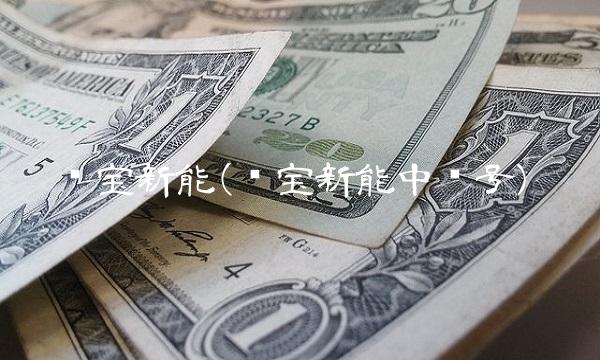 华宝新能(华宝新能中签号)