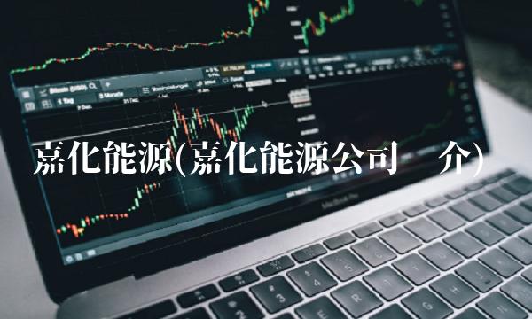 嘉化能源(嘉化能源公司简介)