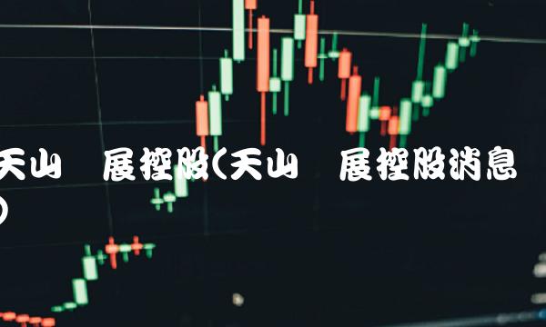 天山发展控股(天山发展控股消息)