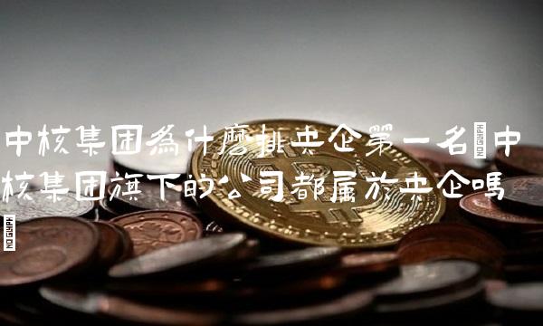 中核集团为什么排央企第一名(中核集团旗下的公司都属于央企吗) 中核集团为什么排央企第一名(中核集团旗下的公司都属于央企吗)