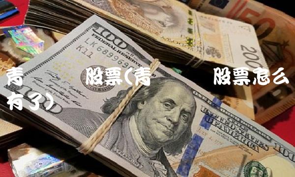 青岛碱业股票(青岛碱业股票怎么没有了)