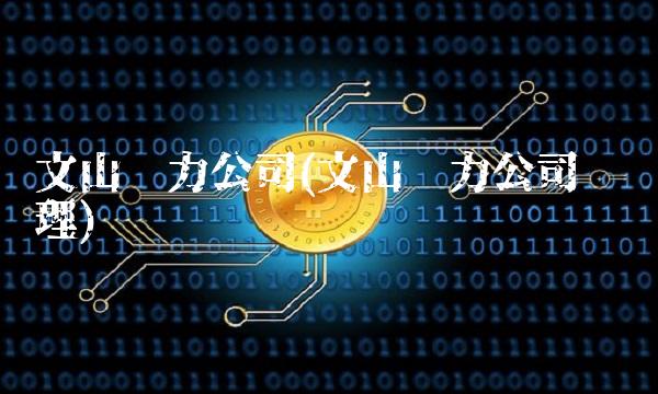 文山电力公司(文山电力公司总经理)