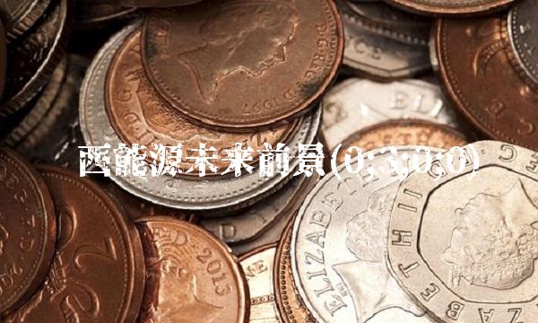 华西能源未来前景(0;3;0;0)