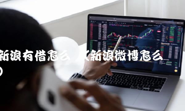 新浪有借怎么样(新浪微博怎么样)