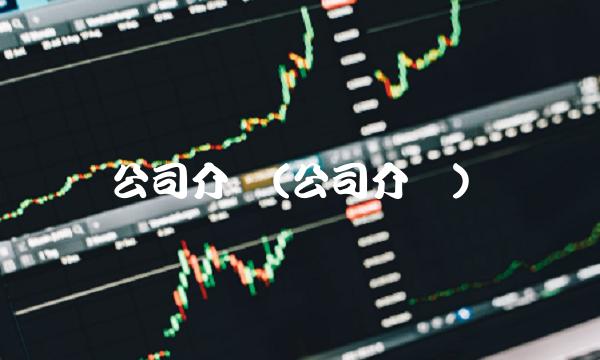 公司介绍(公司介绍)