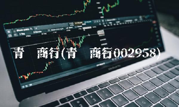 青农商行(青农商行002958)