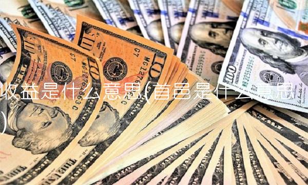 收益是什么意思(首邑是什么意思)